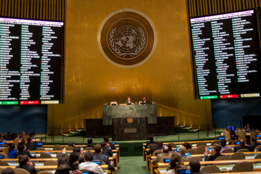 Asamblea General en sesiones (Foto Archivo ONU / Cia Pak).