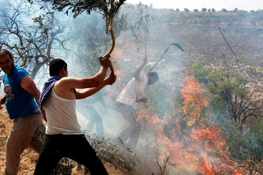 Palestinos intentan extinguir un incendio después de que los colonos israelíes lo incendiaran en la Ribera Occidental el 30 de junio de 2018. Foto: Anadolu.