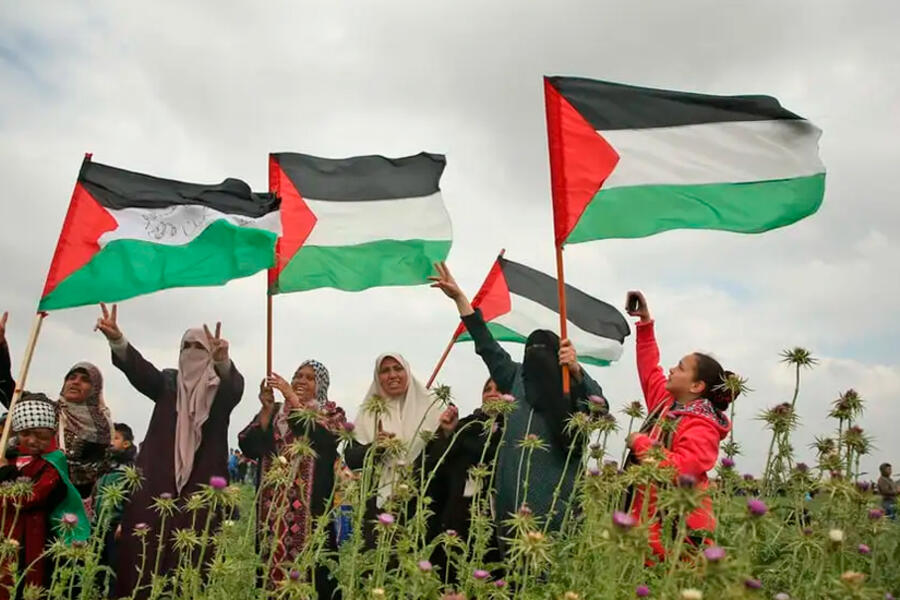Día de la Tierra: la resistencia palestina en defensa de su territorio