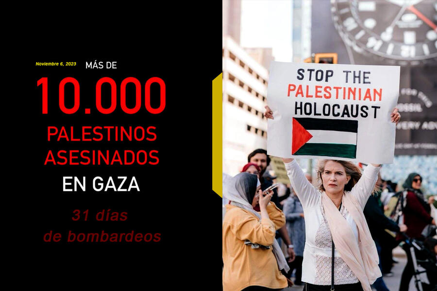 Genocidio en Palestina (día 31): Escalofriantes números