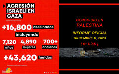 Genocidio en Palestina: Informe actualizado al 6 de diciembre