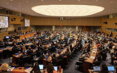 Cuarta Comisión de la Asamblea General de la ONU. Foto: ONU. Cuarta Comisión de la Asamblea General de la ONU. Foto: ONU.