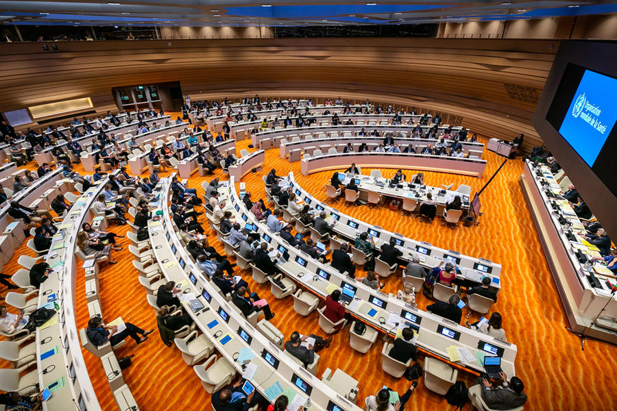 Imagen de archivo: Asamblea Mundial de la Salud en su 71ª sesión de 2018 (Foto: Antoine Tardy / OMS)