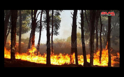 Incendios en la provincia de Tartous | Octubre 9,2020 (Foto: SANA) Incendios en la provincia de Tartous | Octubre 9,2020 (Foto: SANA)