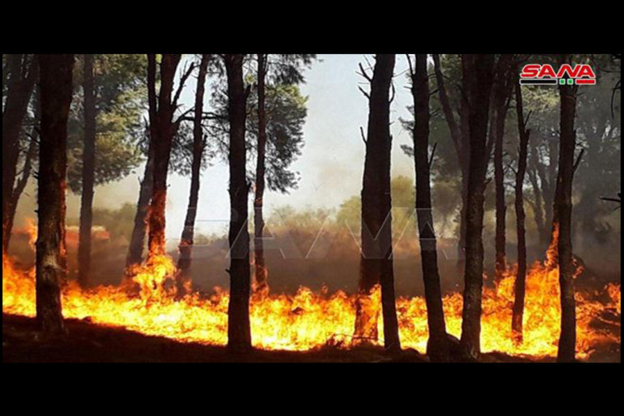 Incendios en la provincia de Tartous | Octubre 9,2020 (Foto: SANA)