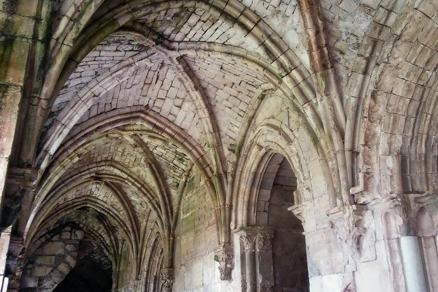 Un guía de la Dirección General de Antigüedades y Museos de Siria muestra a los visitantes los detalles góticos de uno de los edificios del Qalat al Hosn (Foto: Pablo Sapag M.)