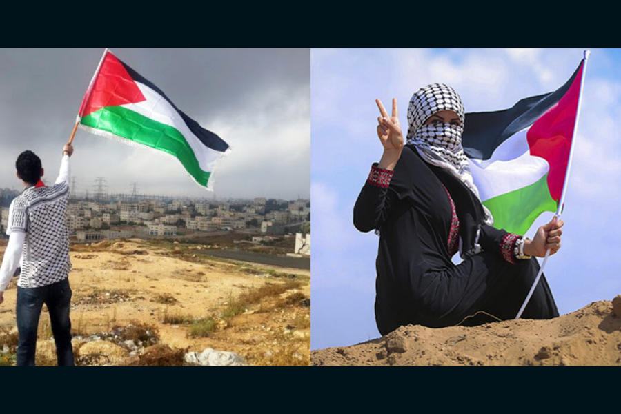 Declaración de cátedras de estudios palestinos