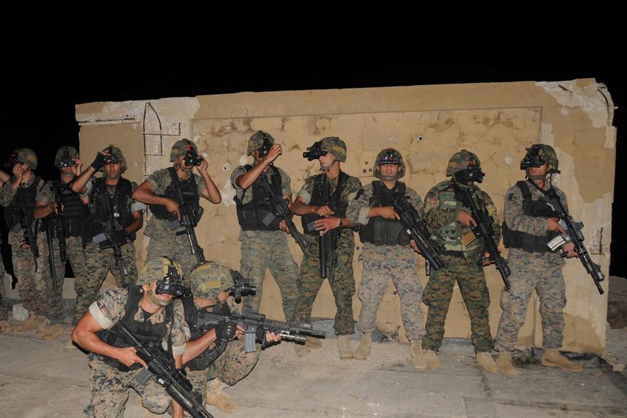 FAL y Hezbollah expulsa terroristas de E.I. en los Altos de Baalbek