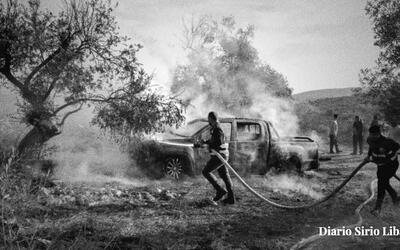 Colonos israelíes convierten la cosecha de aceitunas en Palestina en temporada de ataques