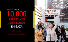 Genocidio en Palestina (día 31): Escalofriantes números
