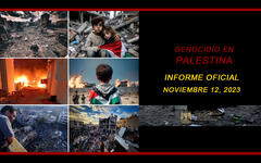 Genocidio en Palestina: Informe actualizado al 12 de noviembre