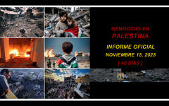 Genocidio en Palestina: Informe actualizado al 15 de noviembre