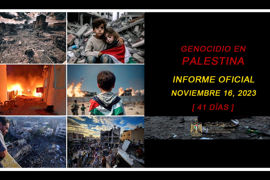 Genocidio en Palestina: Informe actualizado al 16 de noviembre