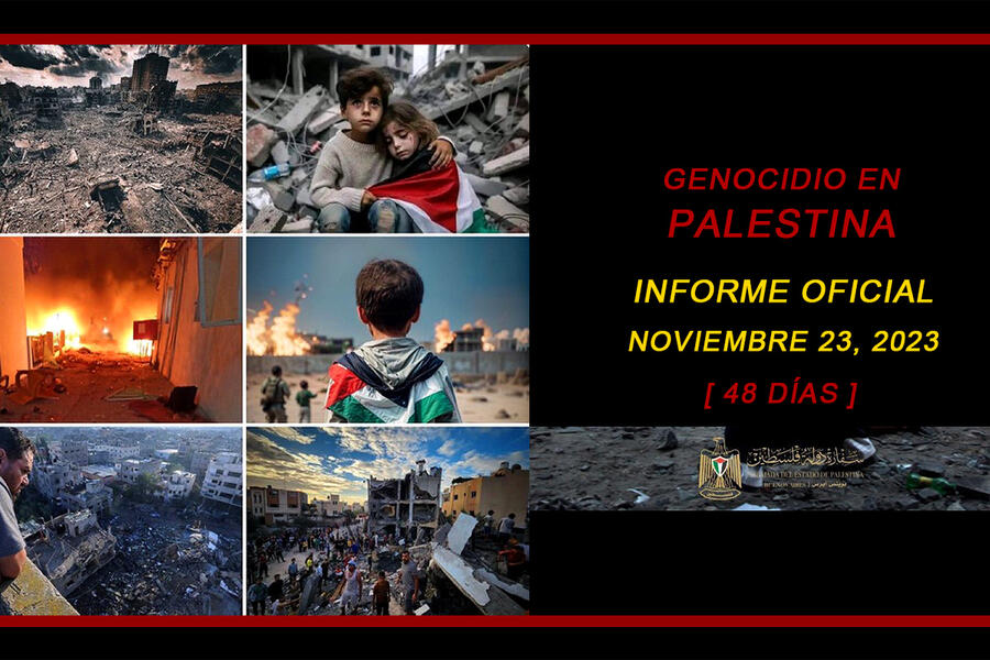 Genocidio en Palestina: Informe actualizado al 23 de noviembre