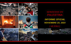Genocidio en Palestina: Informe actualizado al 23 de noviembre