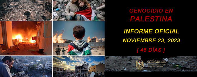 Genocidio en Palestina: Informe actualizado al 23 de noviembre