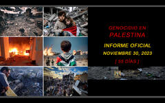 Genocidio en Palestina: Informe actualizado al 30 de noviembre