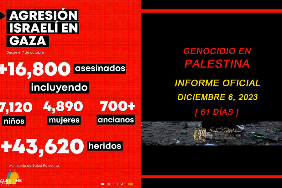 Genocidio en Palestina: Informe actualizado al 6 de diciembre