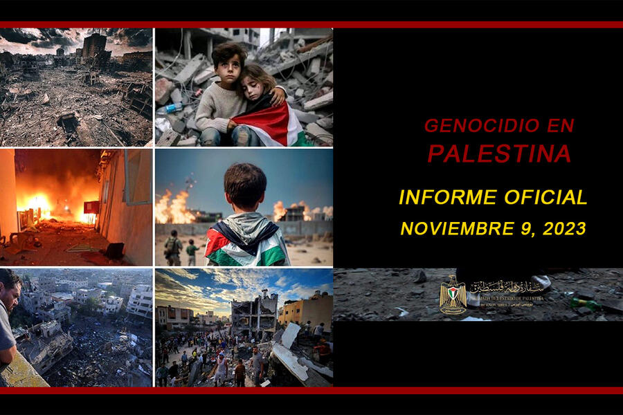 Genocidio en Palestina: Informe actualizado al 9 de noviembre