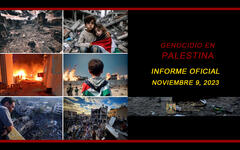 Genocidio en Palestina: Informe actualizado al 9 de noviembre