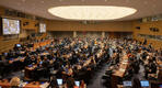 Cuarta Comisión de la Asamblea General de la ONU. Foto: ONU.