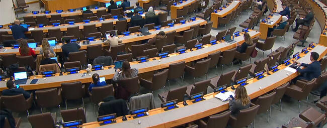 Reunión de la Tercera Comisión de la Asamblea General de las Naciones Unidas | Nueva York, Octubre 30, 2025 (Foto: DSL / video UNTV)