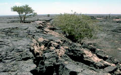 Proponen a Tuluol Al Safa como Patrimonio de la Humanidad