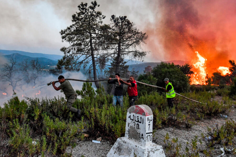 Foto: Agencia AFP.