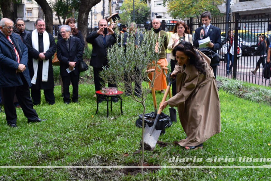 Autoridades de ONGs participan de la plantación simbólica.
