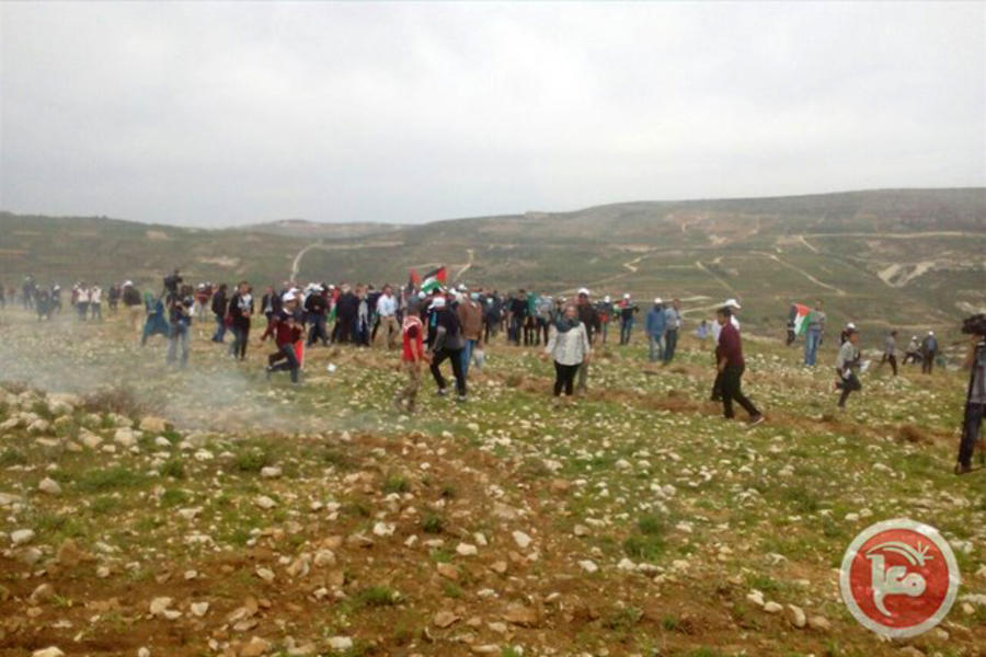 Contingentes militares israelíes han cargado violentamente contra manifestantes palestinos que conmemoraban el 41º aniversario del Día de la Tierra.
