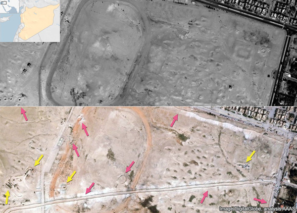 04 Palmyra