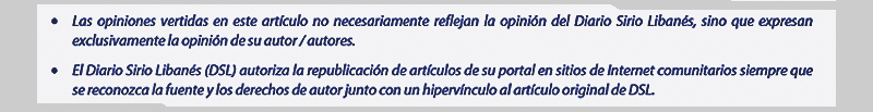 DISCLAIMER DSL (Notas OPINIÓN) 02