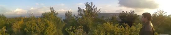Shouf