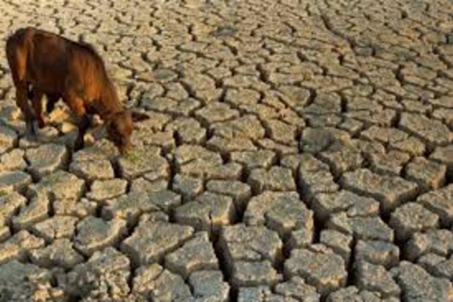 Líbano ante la peor sequía en los últimos 80 años