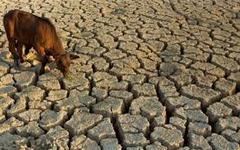 Líbano ante la peor sequía en los últimos 80 años