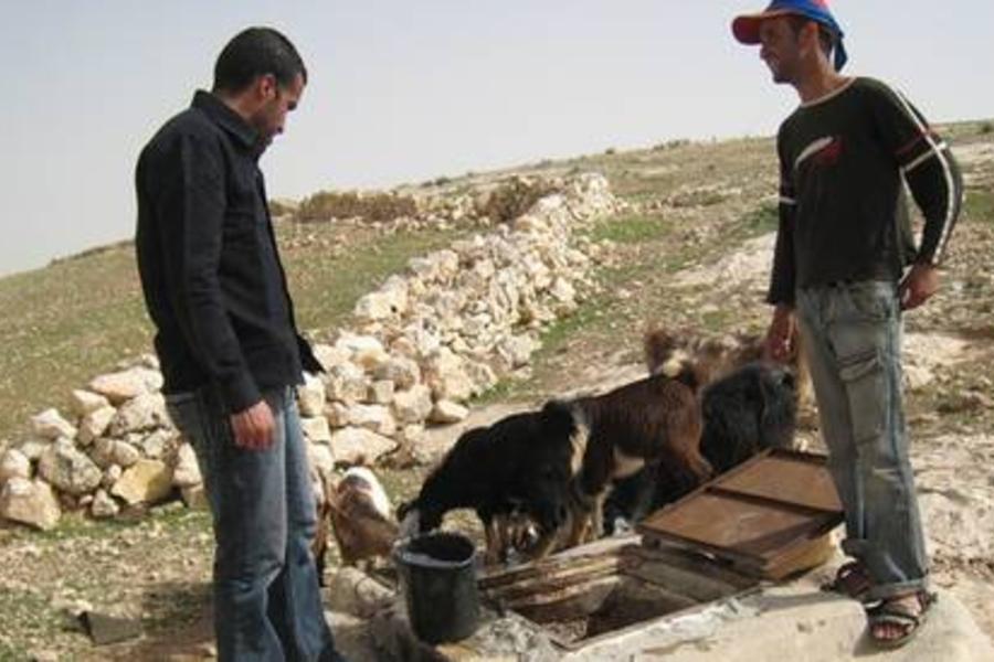 Pastores del pueblo de Umm al Jeir, en el sur de la Cisjordania ocupada. Las comunidades dedicadas al pastoreo no tienen agua corriente, por lo que dependen del agua de lluvia almacenada en cisternas como ésta, que a menudo son destruidas por el ejército israelí. © Amnistía Internacional