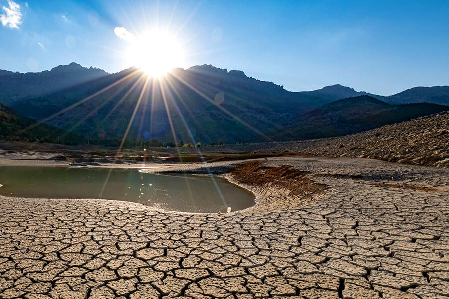 Agua que no has de beber déjasela a Mekorot 