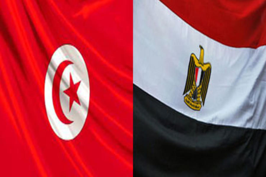Por qué la democracia floreció en Túnez y no en Egipto