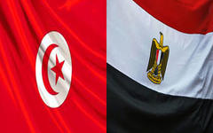 Por qué la democracia floreció en Túnez y no en Egipto