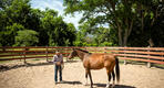 La doma sin violencia resalta las grandes virtudes del caballo